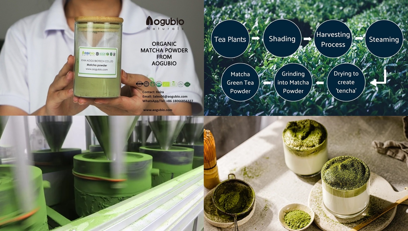 Matcha poroşogy
