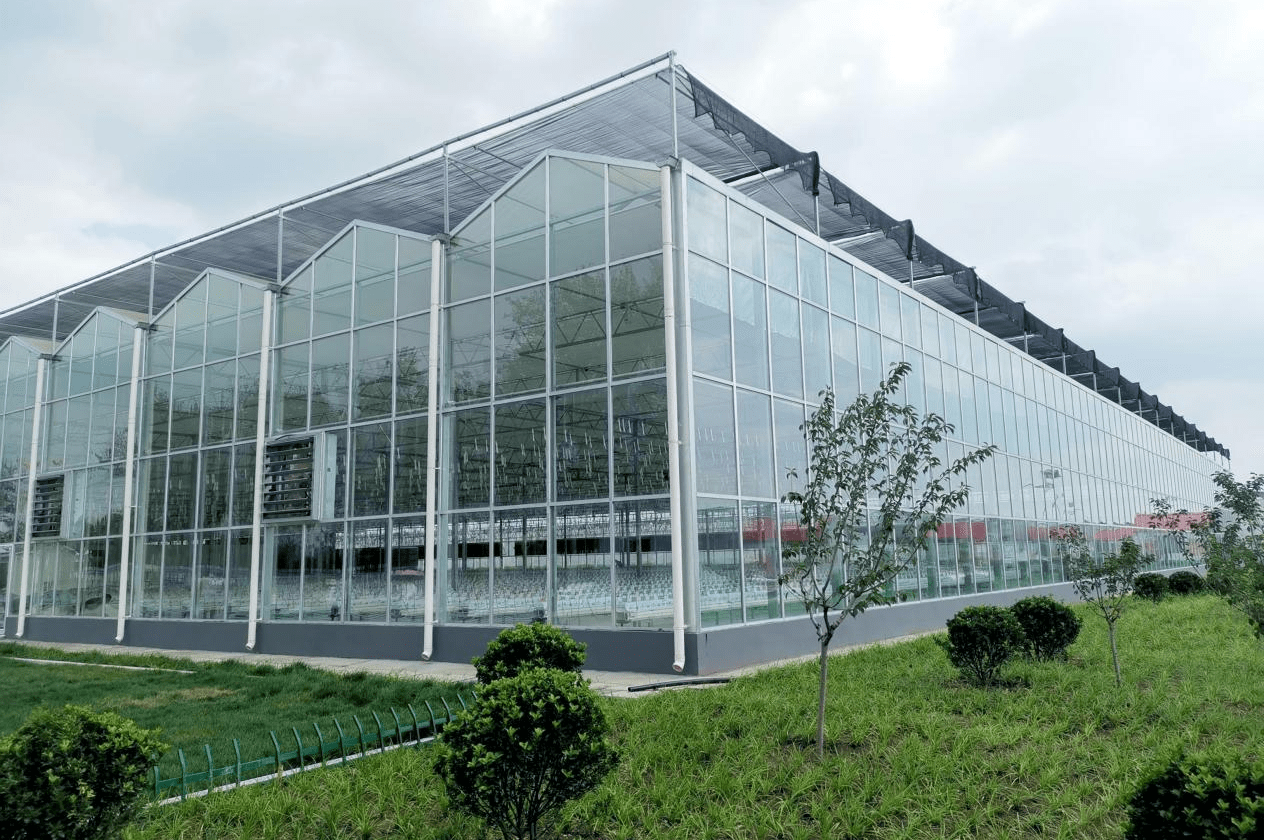Het bedrijf bouwt een slimme kas van 3.000 vierkante meter in Zuid-Korea en zal plantbegeleidingsdiensten leveren