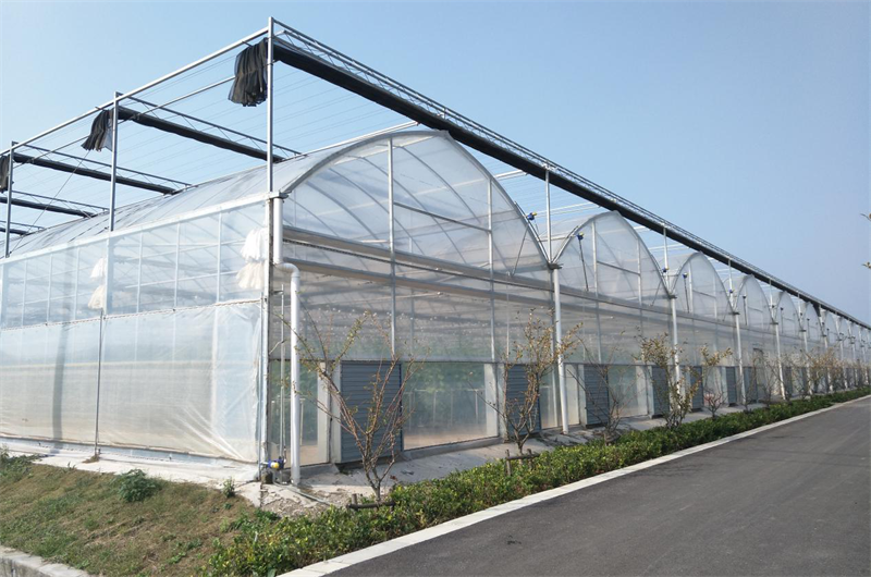 Maintenance of multi-span film greenhouses