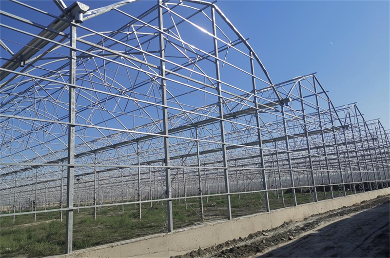 Qatar's 5,000-square-meter film greenhouse skeleton was successfully completed