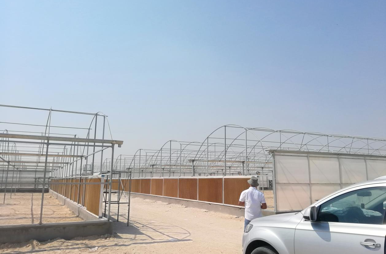 O esqueleto da estufa do Qatar está concluído e a construção está em andamento