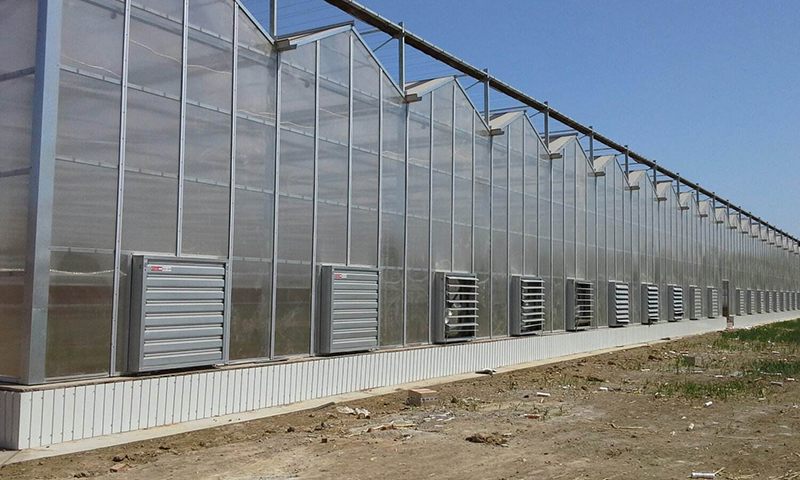 America PC Greenhouse Projects6f
