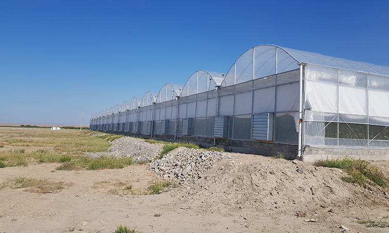 Hydroponics greenhouse project in Uzbekmj3