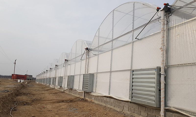 Multi-span film greenhouse project in Uzbga1