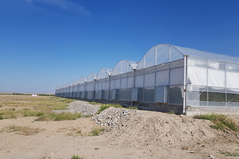 Hydroponics greenhouse project in Uzbekfqv