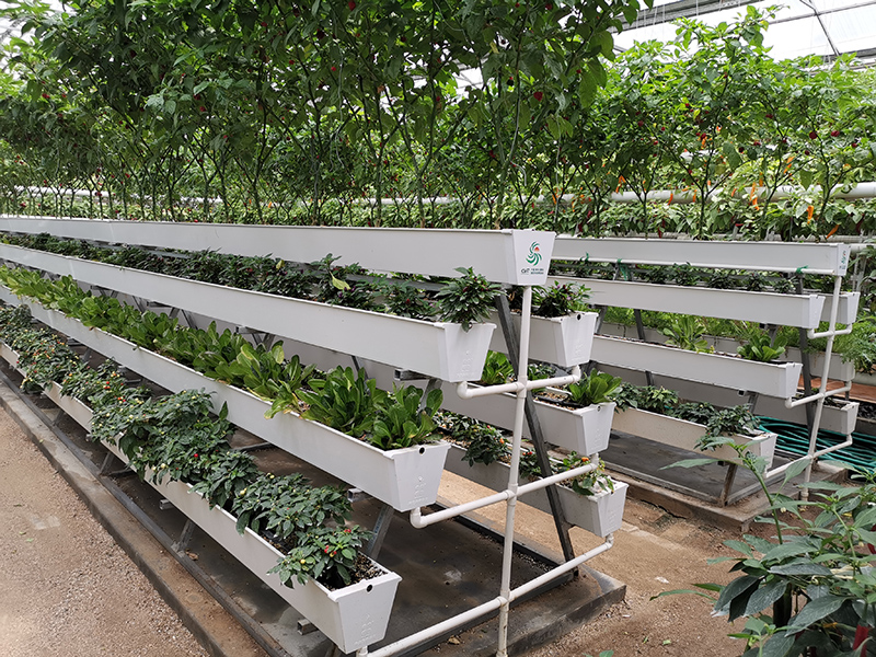 Vertikale Dachrinne aus PVC für den Erdbeeranbau
