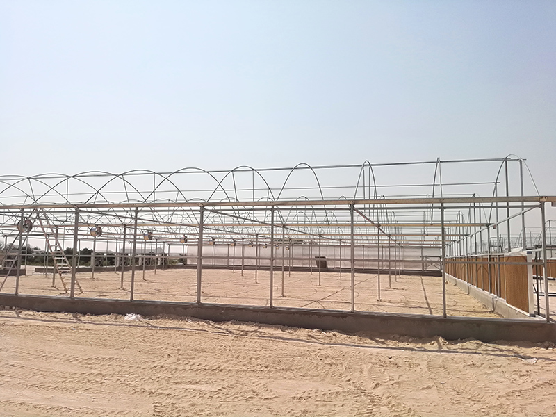 Greenhouse Building Materials- Steel Structure