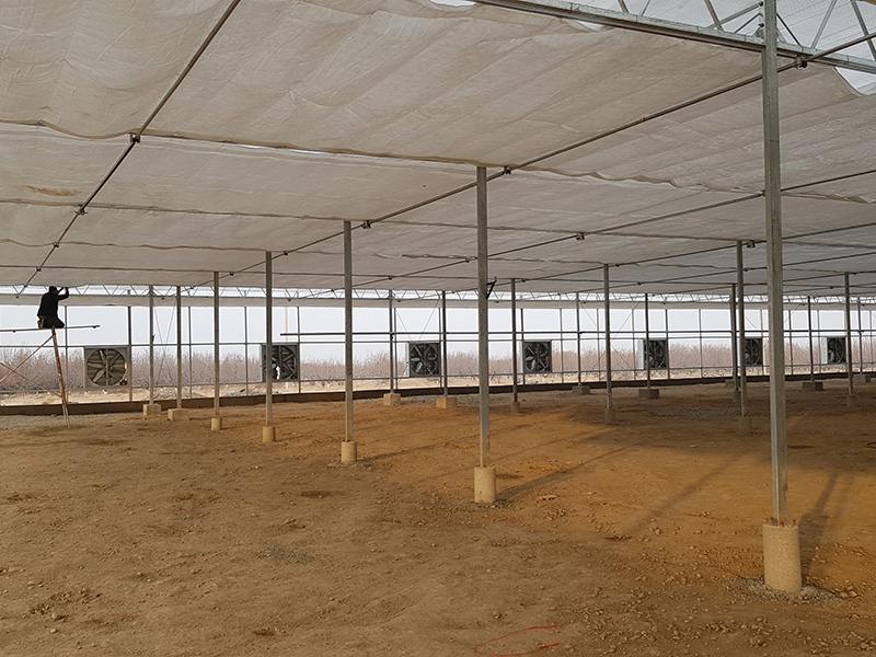 Sistema de cortina térmica interna para invernadero agrícola