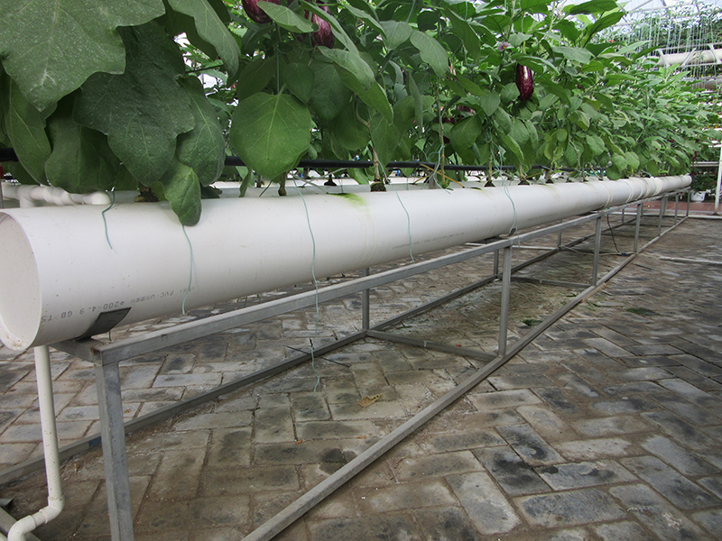 PVC Pipe Hydroponic Channel Pipes For  Greenhouse