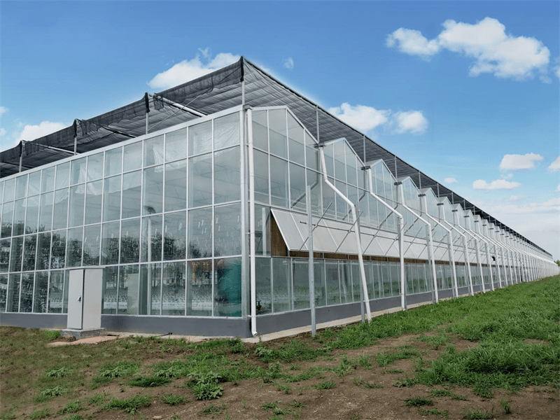 Szklana szklarnia z zewnętrznym systemem osłon przeciwsłonecznych i systemem hydroponicznym