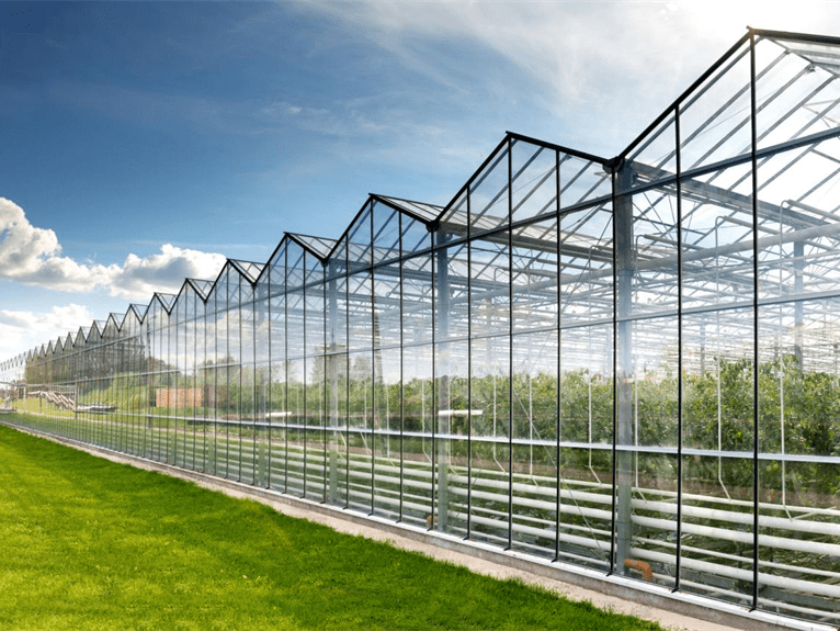 Wielopiętrowa szklarnia rolnicza ze szkła rolniczego