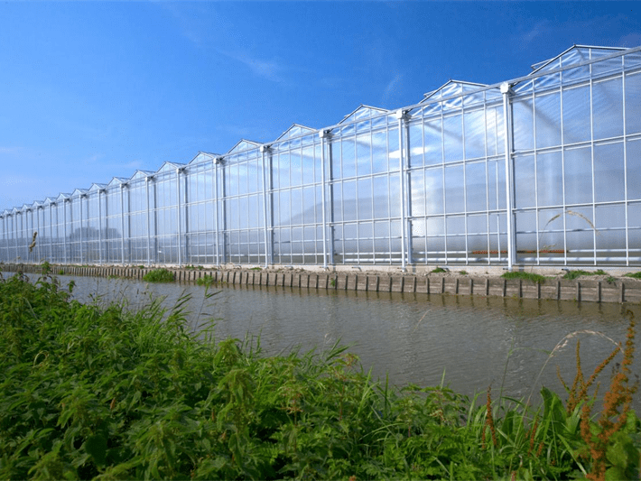 Szklarnia z poliwęglanu Venlo z systemem hydroponicznym