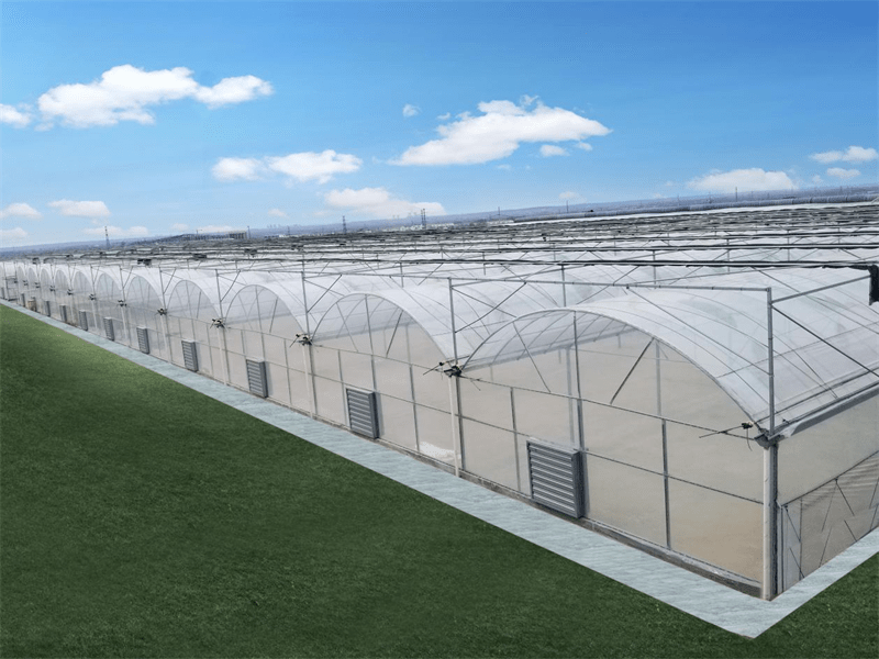 Multi-Span Film Greenhouse With Outer Sunshade System