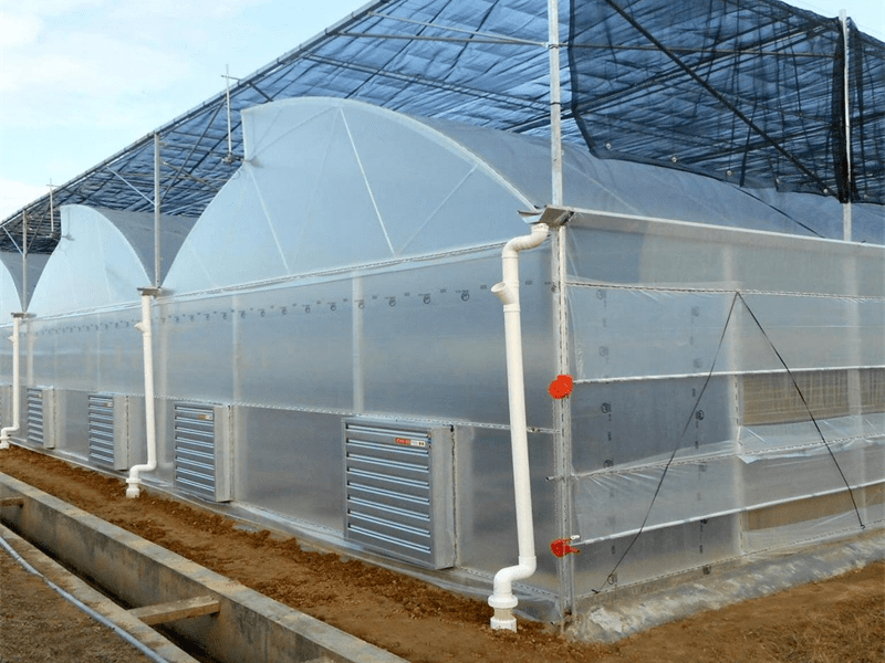 Multi-span Plastic Film Sawtooth Greenhouse For Flower and Vegetable