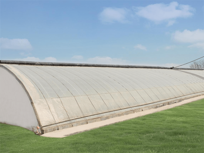 Sunlight Plastic Film Greenhouse For Agriculture