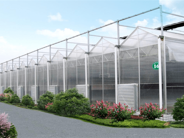 Invernadero agrícola de policarbonato de varios tramos con sistema de sombrilla exterior