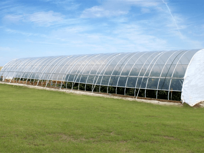 단일 터널 필름 농업 온실