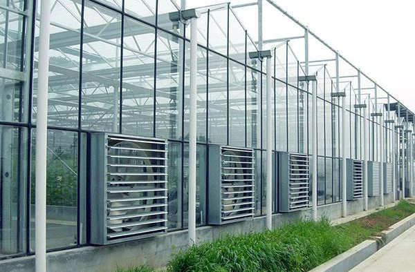 Ventilation of glass greenhouse