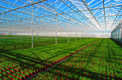How to achieve high efficiency in greenhouses!