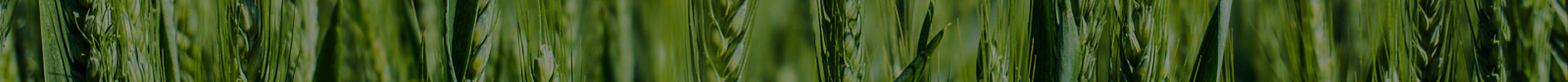 page_banner