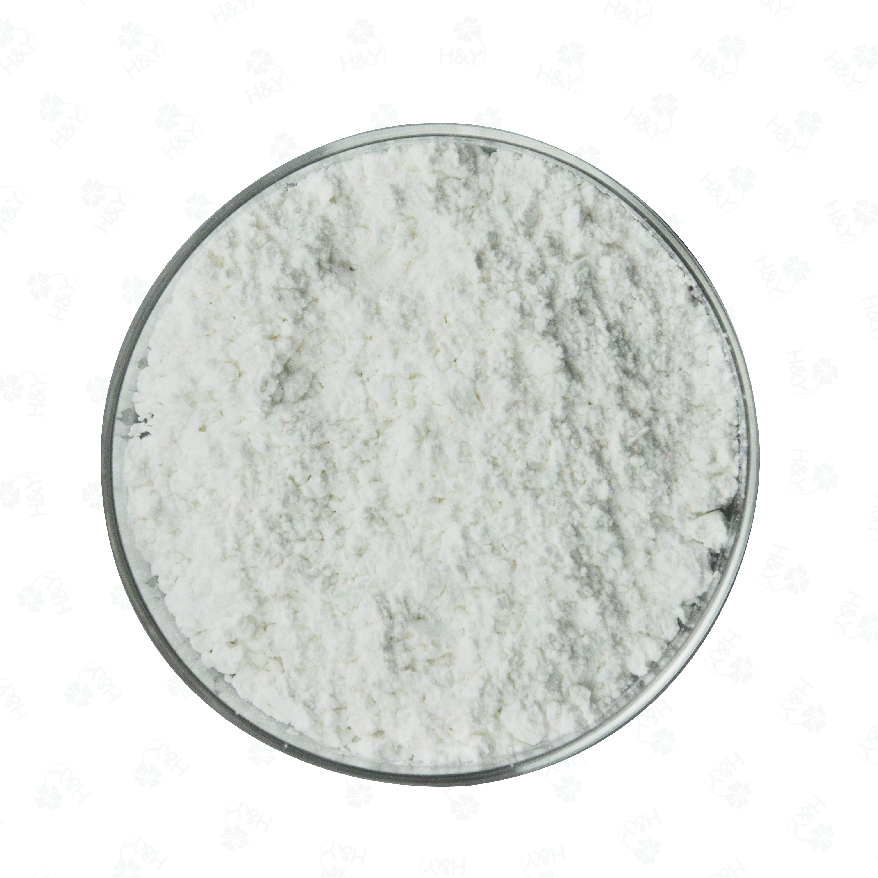 China factory supply hign quality buchanania latifolia extract powder 97% helicid