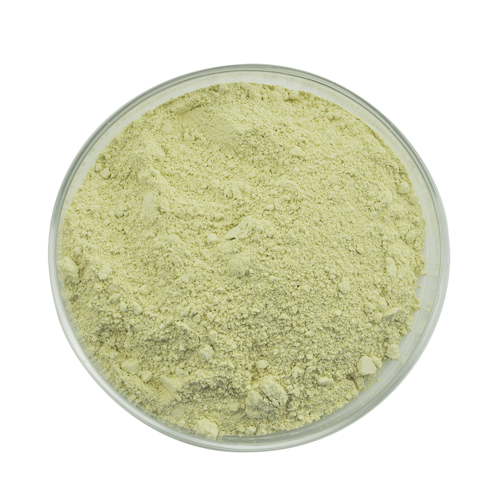 Bulklevering van Sophora Japonica-extract Rutine