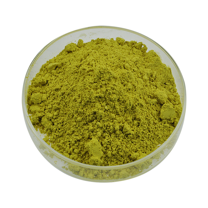 Sophora Japonica Extract Rutine en Quercetine Fabrikant