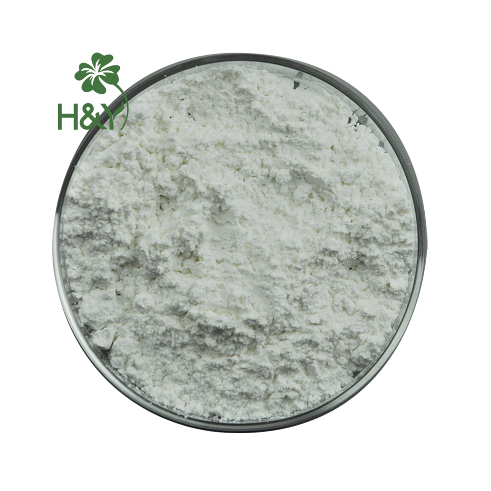 Andrographis Extract Andrographolide Powder 98% HPLC