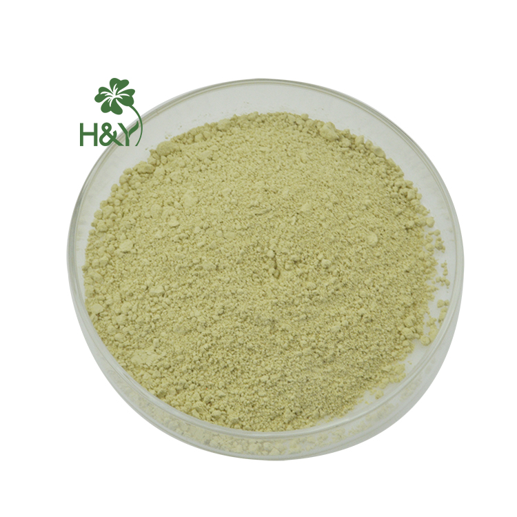 Healthway Scutellaria Baicalensis Extract Baicalin 85% HPLC Top Supplier 