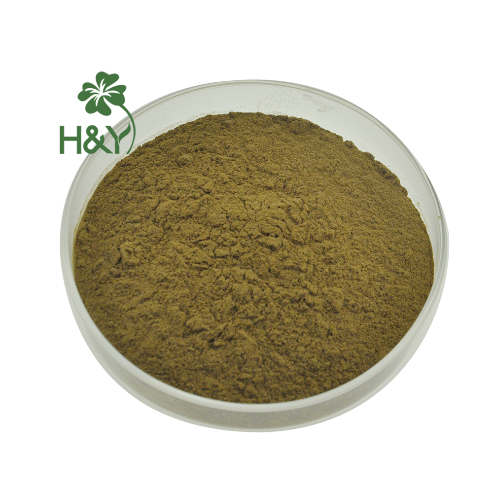 High quality Lemon Balm Extract Rosmarinic acid powder 2%-10%