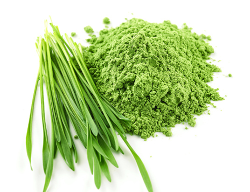 Bubuk Rumput Barley Hijau - Makanan Super Terbaik Anda untuk Kesehatan Optimal