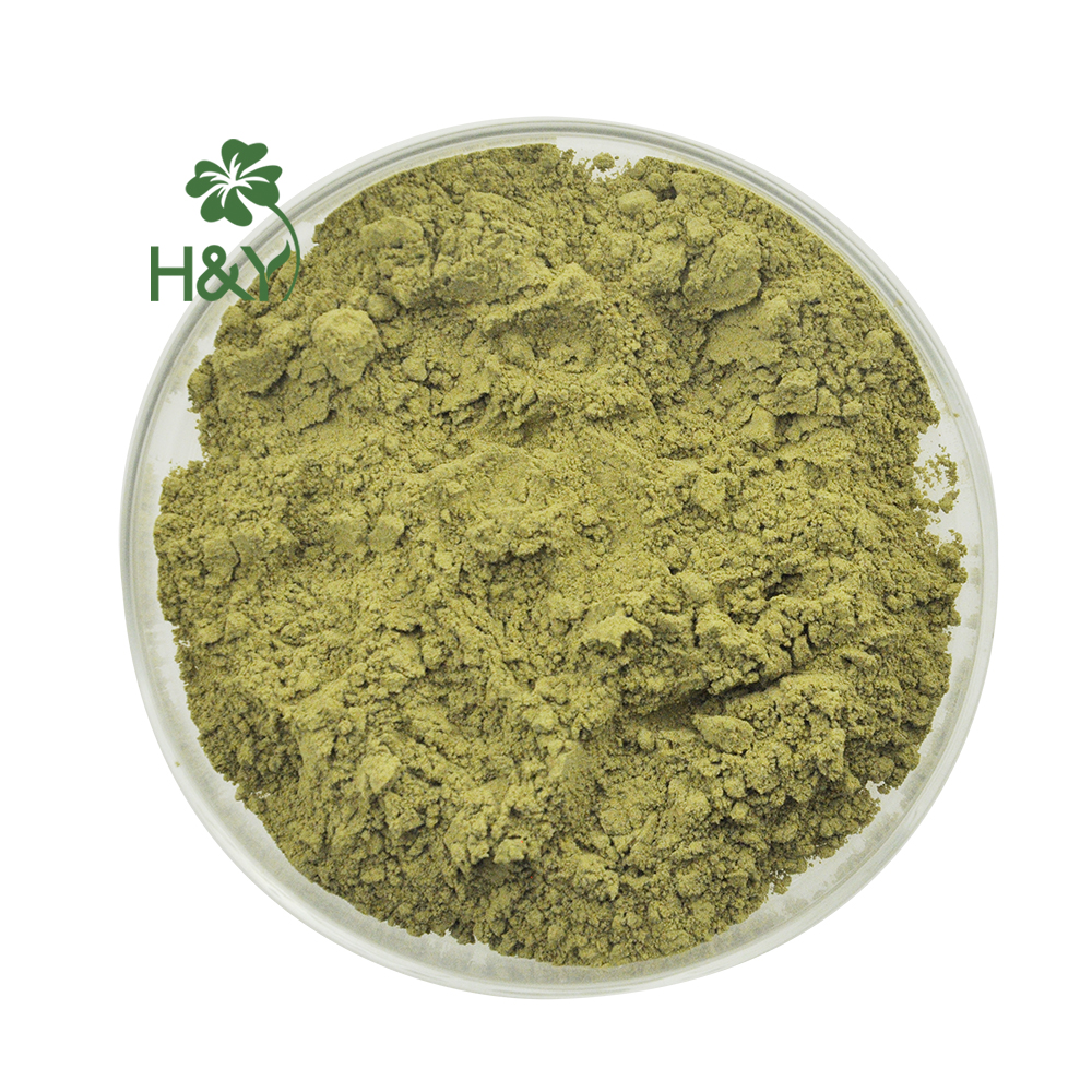 ★Wholesale Factory Supplement olive leaf extract oleuropein10-40% HPLC 