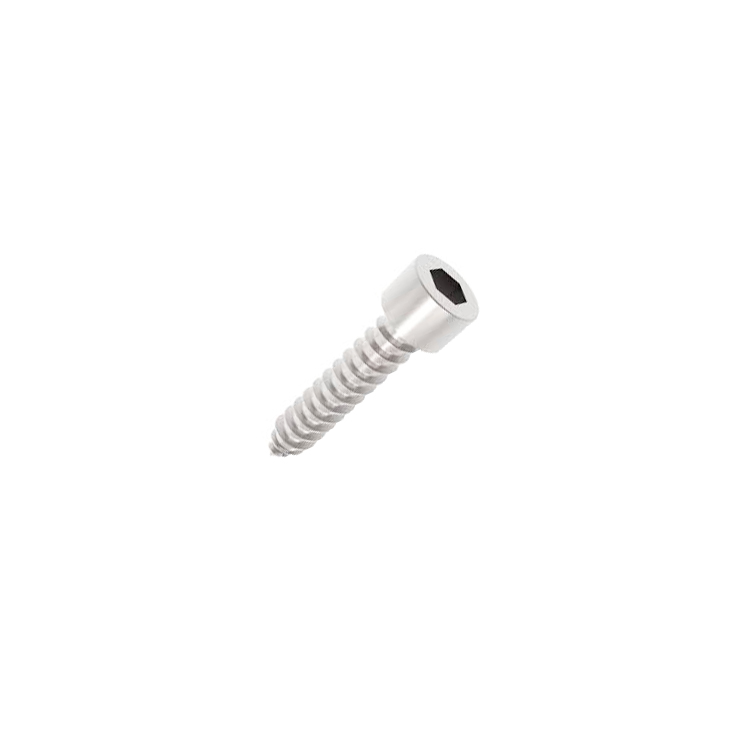 Chess head self tapping screws