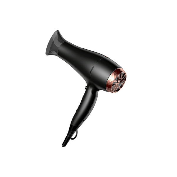 Professional DC hair dryer with high concentration of negative ions