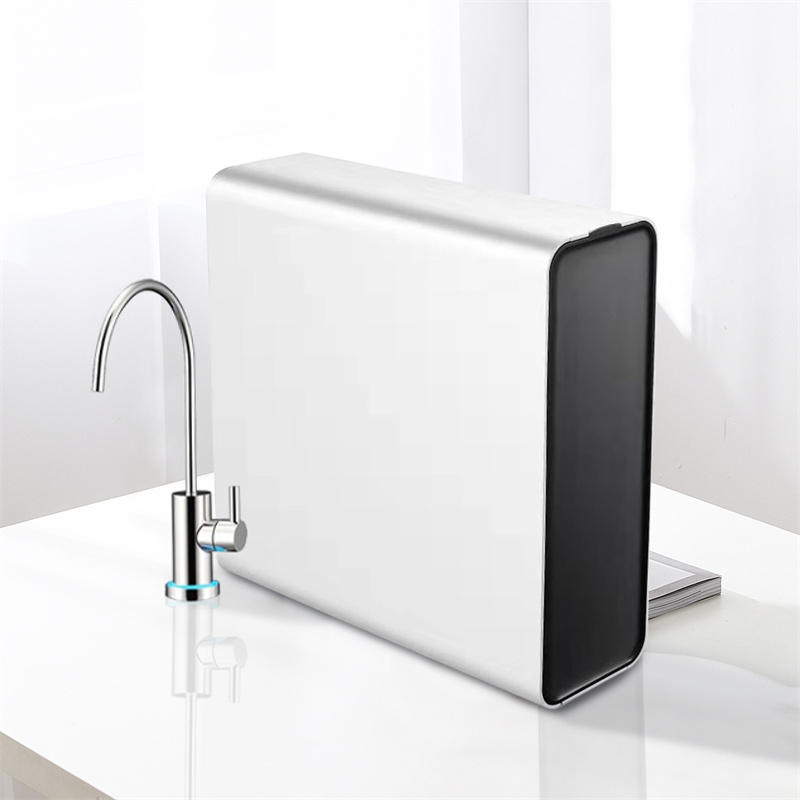 Dina Sink Water Purifier Jeung Reverse Osmosis Filter Cai