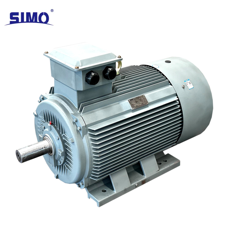 YE3 315L-2/4/6/8/10 Low Voltage AC 3-Phase Asynchronous Motor