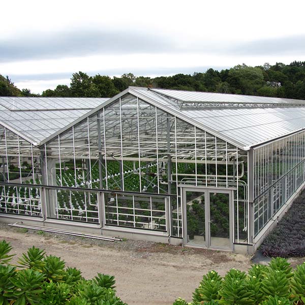 Fábrica de invernaderos de vidrio de varios tramos - invernadero de vidrios - FIVE STEEL
