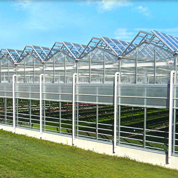 गटर कनेक्टेड ग्रीनहाउस के लिए प्रतिस्पर्धी मूल्य - सौर ग्रीनहाउस - पांच स्टील