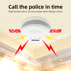 85Db Sound Fire Bell Alarm System CO Gas Alarm System Detector Sensors Wireless Independent Fire Alarm Carbon Monoxide Detector Alarm