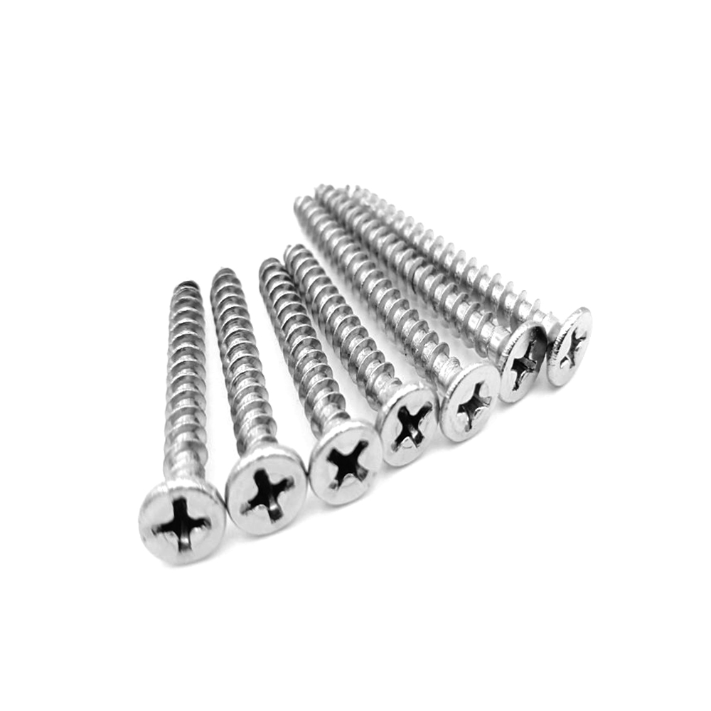Special Design for Stainless Steel Cross Countersunk Head Tapping Screw