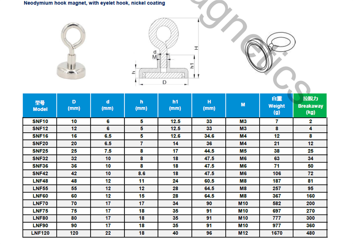 NdFeB Hook Magnet  A Parameters A019s3
