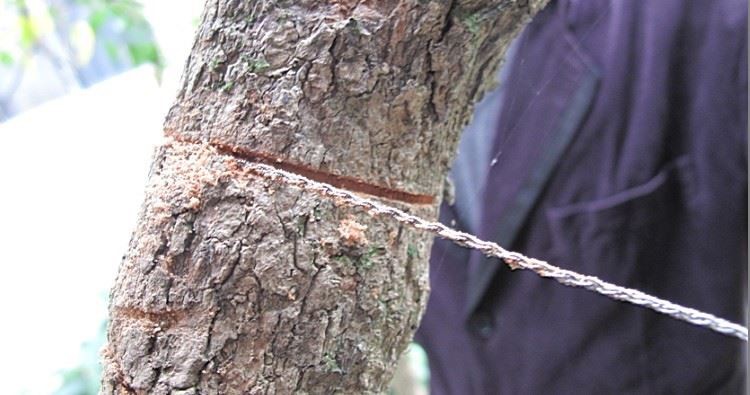 Camping Emergency Survival Wire Saw (၉)၊
