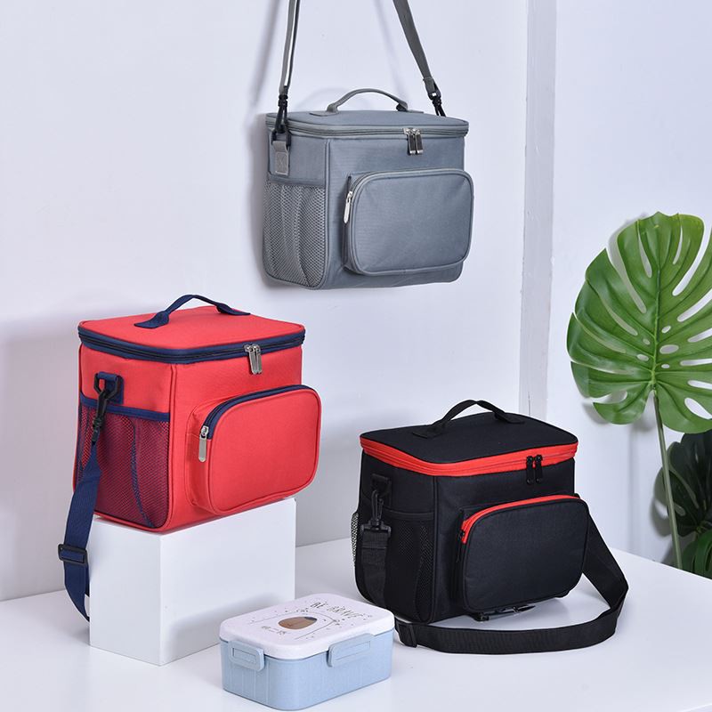 Picknick Cooler Bag (9)
