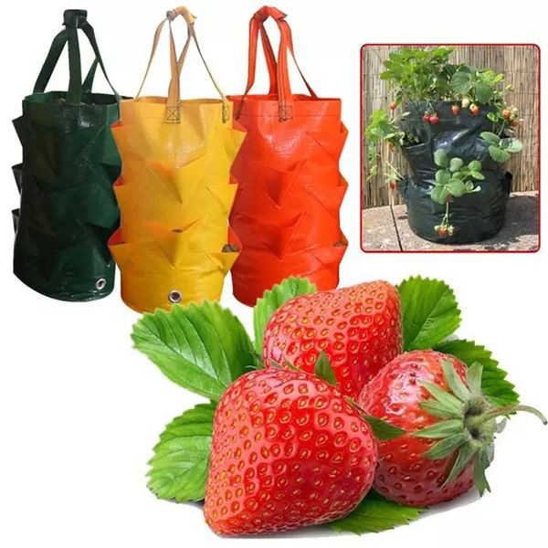 SPS-718 Garden Strawberry Planting Growing Bag