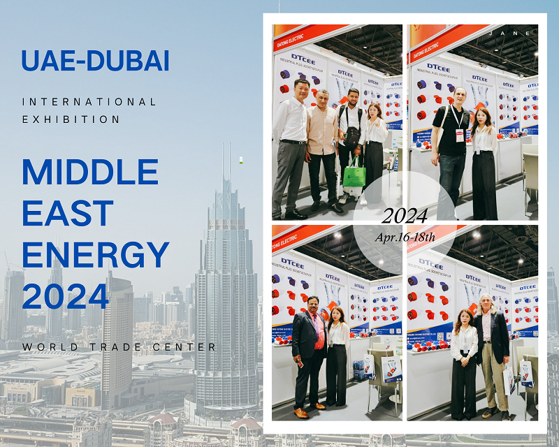 DTCEE Electric 2024 Middle East Energy Exhibition--UAE
