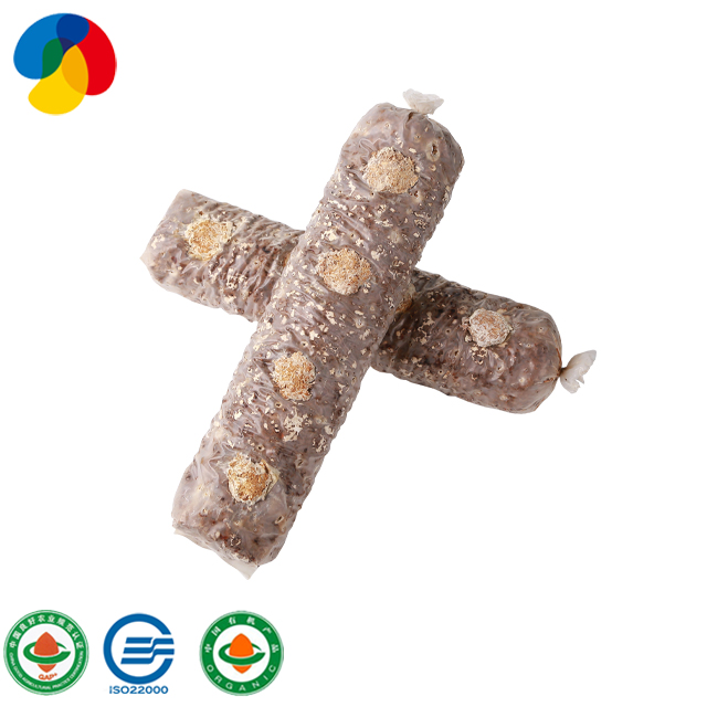 China Superior Quality Mushroom Logs shiitake spawn mature substrate bags for sale