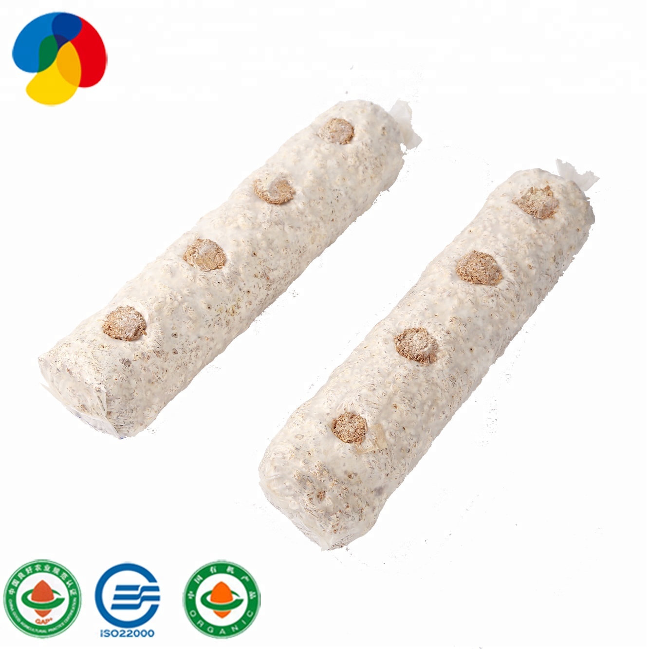 Super Lowest Price Export Flower Shiitake Mushroom Dried From Fresh Raw Material