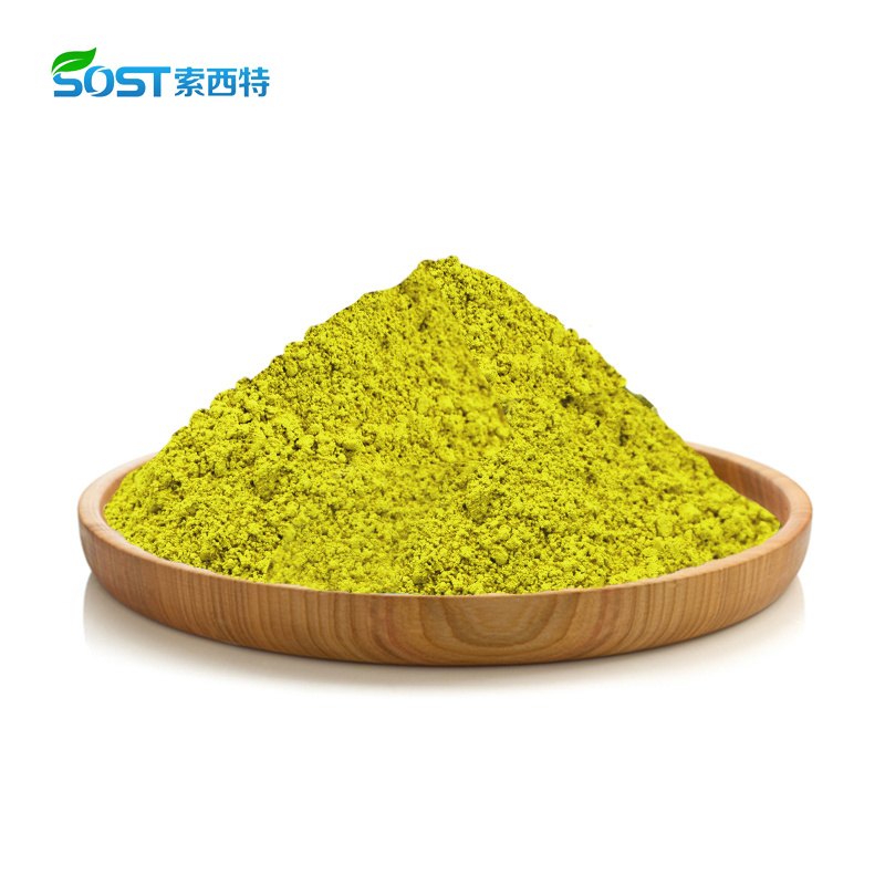 Quercetin Powder Sophora Japonica Extract CAS 6151-25-3 Quercetin Dihydrate Powder Quercetin98%