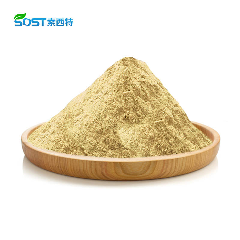 High Quality Factory Supply Ready To Ship With Bulk Price Oleanolic Acid Stock Free Sample