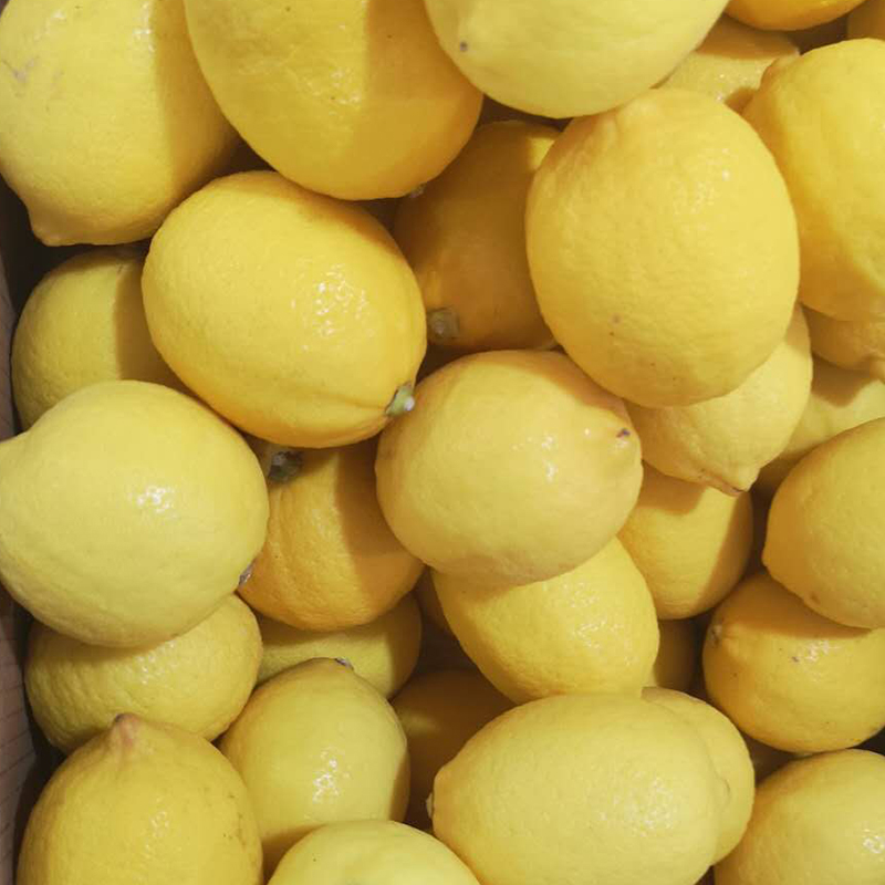 Alta Qualità China Wholesale Limoni Gialli Freschi